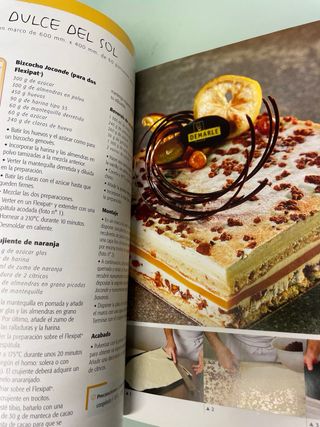 Elegir el flexipan. 90 recetas para el artesano.