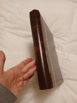 Álbum de fotos marrón con detalles dorados