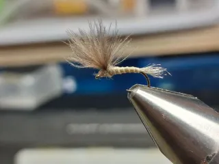 12 Moscas Zirayon 8310