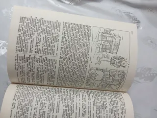 diccionario latino español y español latino vox