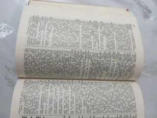 diccionario latino español y español latino vox