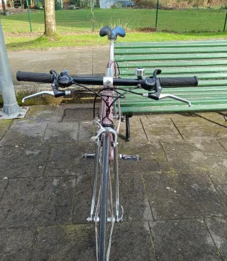 Bicicleta Urbana Zeus