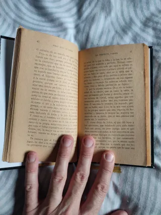 Fray Luis de León. La perfecta casada