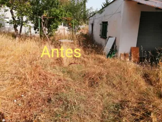 Servicio de jardinería