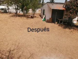 Servicio de jardinería