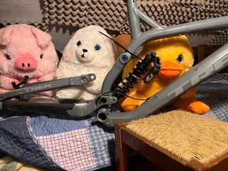 Cuadro TREK SESSION 8 2019