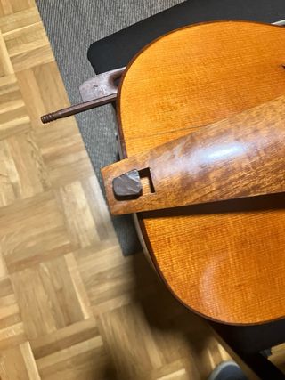 Viola da Gamba Soprano