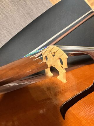 Viola da Gamba Soprano