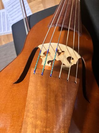 Viola da Gamba Soprano