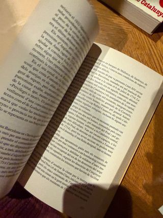 La formació d'una identitat. Una història de Ca...