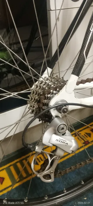 Bicicleta de carretera de carbono