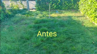 Servicio de jardinería y césped artificial