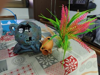 Decoración Acuario
