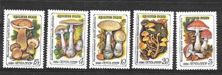 URSS 1986 Funghi