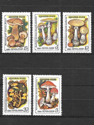 URSS 1986 Francobolli Funghi