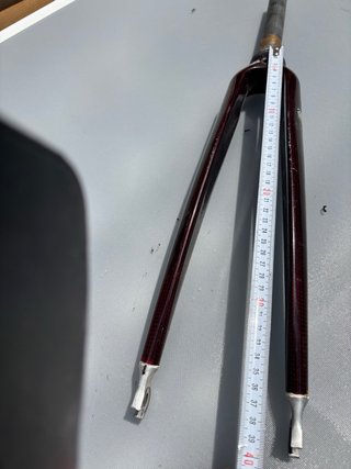 Horquilla Pinarello Paris Carbon Fork