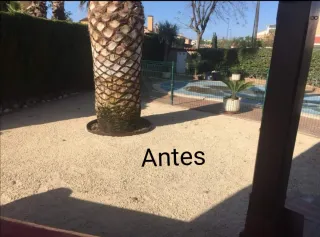 Césped artificial y servicio de jardinería