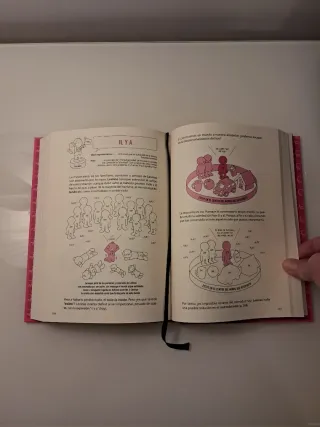 Gran historia visual de la filosofía