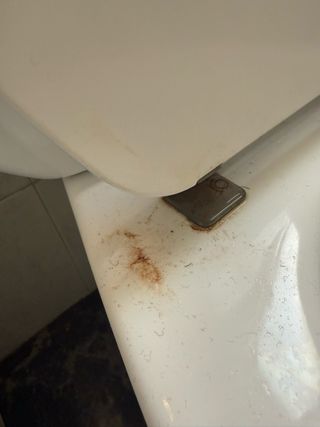 Servicios de Limpieza