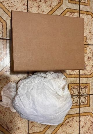 Statuina Ingegnere con Rotoli e Strumenti