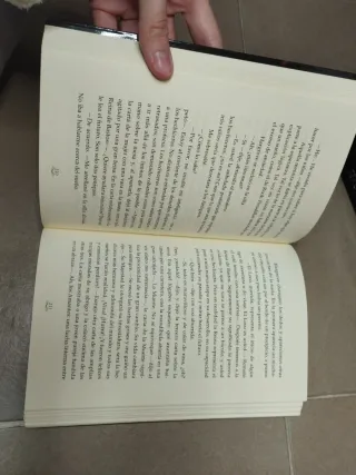 Una sombra brillante y ardiente (El reino en ll...