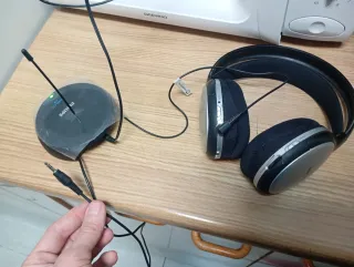 Auriculares Inalámbricos Philips Negros/Plateados