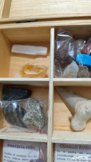 Caja de colección de minerales