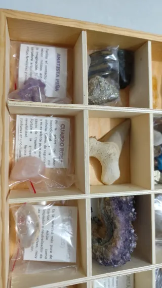 Caja de colección de minerales