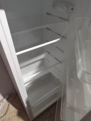 Nevera Corberó pequeña