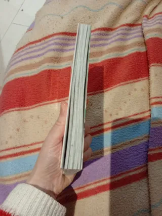 Piña, pastel o tiramisú: el primer amor. (Spani...