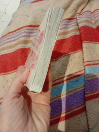 Piña, pastel o tiramisú: el primer amor. (Spani...