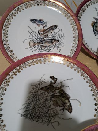 Set 6 piatti porcellana vintage pesci