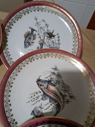 Set 6 piatti porcellana vintage pesci