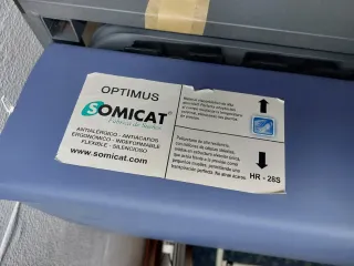 Cama medicalizada con mando y Colchón.