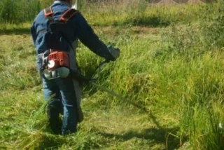 Servicios de Jardinería, Siega, Riego, Plantación