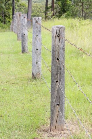 Valla forestal de madera y malla