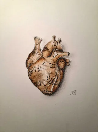 Corazón Anatómico Dibujo a Mano Único musica-caffè