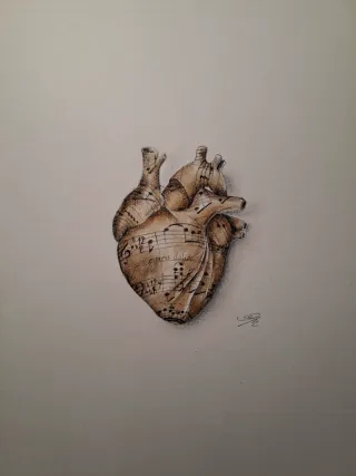 Corazón Anatómico Dibujo a Mano Único musica-caffè