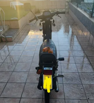 Derbi Variant Start Classic