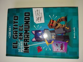 Set libros Minecraft