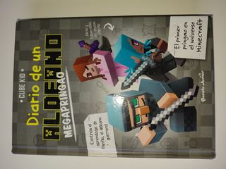 Set libros Minecraft