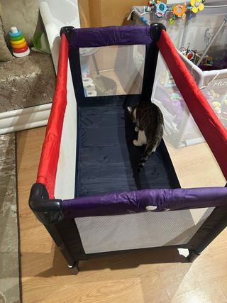 Cuna Parque viaje para bebé