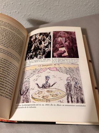 Lorca-Dali. el Amor Que No Pudo Ser - 1ra. Edición