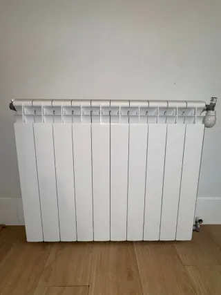 Radiadores de hierro y aluminio