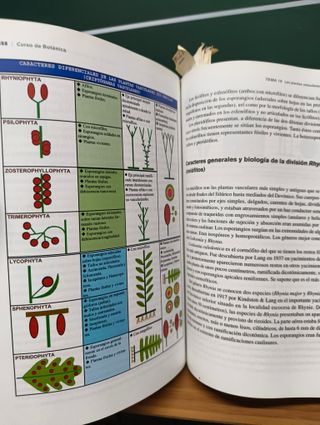 Curso de Botánica - TREA Ciencias