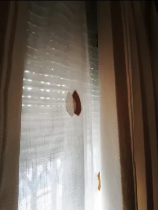 Edredón y cortinas beige y oro