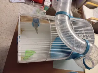 Jaula para hámster con túneles