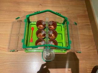 Mini invernadero con macetas y pala