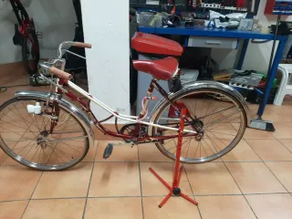 Bicicleta Derbi Rabasa ¡SE CANBIA!