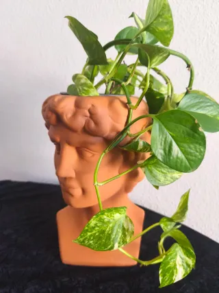 Maceta Cabeza Barro Terracota